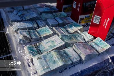  دستگیری ۲۳۳ سارق و مالخر 