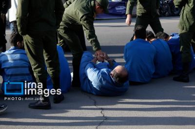  دستگیری ۲۳۳ سارق و مالخر 