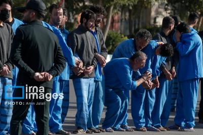  دستگیری ۲۳۳ سارق و مالخر 