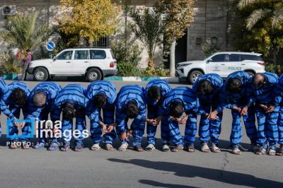  دستگیری ۲۳۳ سارق و مالخر 