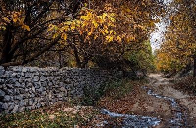 حال و هوای پاییزی در باغ‌های شهرستان سلسله /عکس