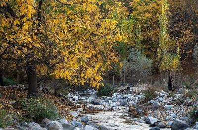 حال و هوای پاییزی در باغ‌های شهرستان سلسله /عکس