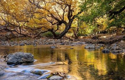 حال و هوای پاییزی در باغ‌های شهرستان سلسله /عکس