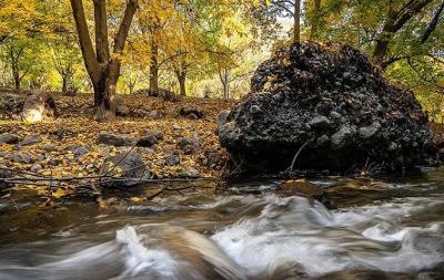 حال و هوای پاییزی در باغ‌های شهرستان سلسله /عکس