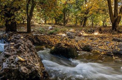 حال و هوای پاییزی در باغ‌های شهرستان سلسله /عکس