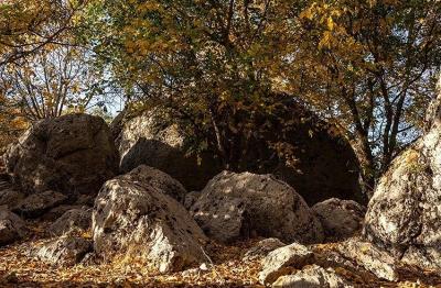 حال و هوای پاییزی در باغ‌های شهرستان سلسله /عکس