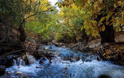 حال و هوای پاییزی در باغ‌های شهرستان سلسله /عکس