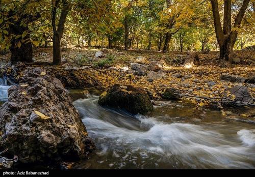 حال و هوای پاییزی در باغ‌های شهرستان سلسله /عکس