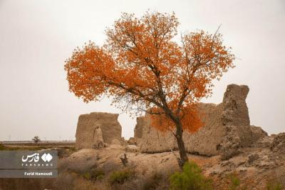 آبادان و خرمشهر در خیال پاییزی هوش مصنوعی 