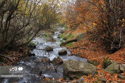 رنگ‌های پاییزی در کوهستان چالوس 