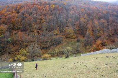 رنگ‌های پاییزی در کوهستان چالوس 