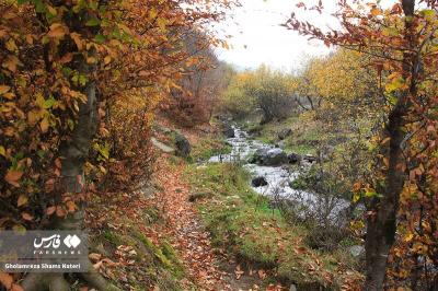 رنگ‌های پاییزی در کوهستان چالوس 