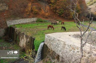 رنگ‌های پاییزی در کوهستان چالوس 