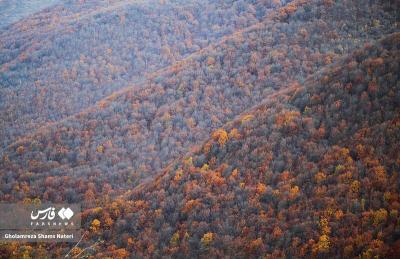 رنگ‌های پاییزی در کوهستان چالوس 