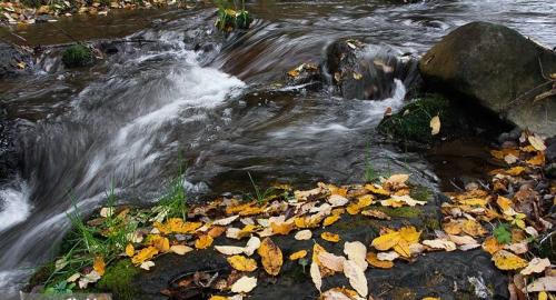 رنگ‌های پاییزی در کوهستان چالوس 