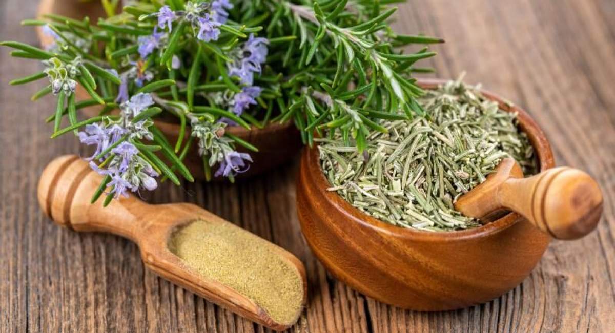 آیا رزماری واقعاً جای زخم را از بین می‌بَرَد؟ 