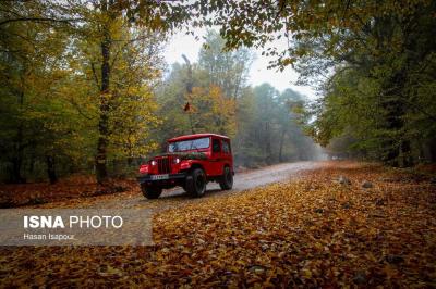 مقصدی برای تماشای زودترین پاییز شمال