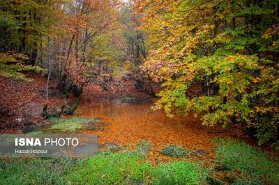 مقصدی برای تماشای زودترین پاییز شمال