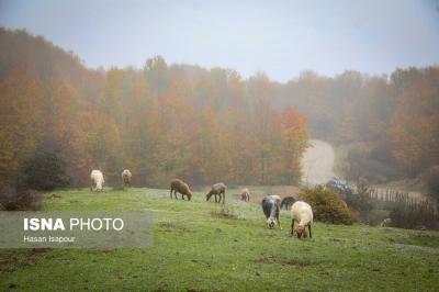 مقصدی برای تماشای زودترین پاییز شمال