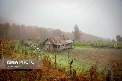 مقصدی برای تماشای زودترین پاییز شمال