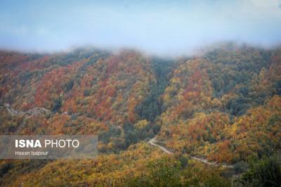 مقصدی برای تماشای زودترین پاییز شمال