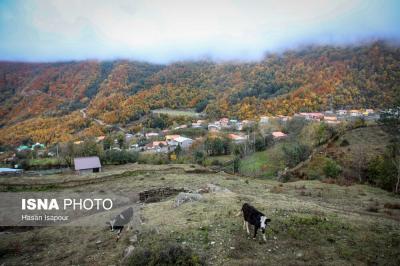 مقصدی برای تماشای زودترین پاییز شمال