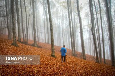 مقصدی برای تماشای زودترین پاییز شمال