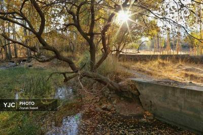 طبیعت پاییزی همدان