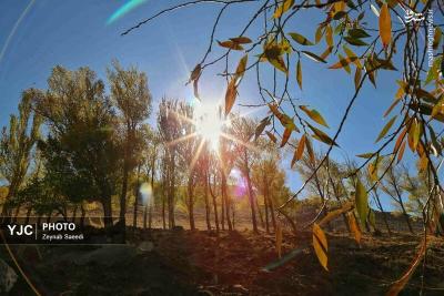 طبیعت پاییزی همدان