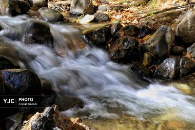 طبیعت پاییزی همدان
