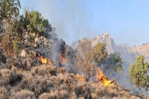 پرواز ایلوشین برای مهار حریق الیت