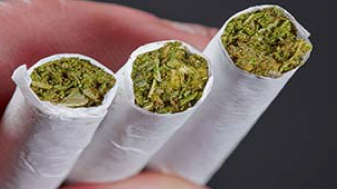 ساده‌انگاری «گُل» تله مافیای مواد مخدر