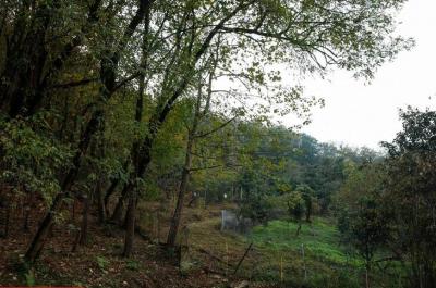 طبیعت رامسر