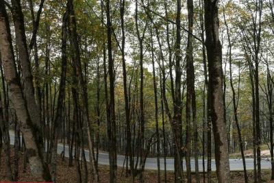 طبیعت رامسر