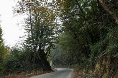 طبیعت رامسر