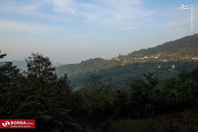 طبیعت رامسر