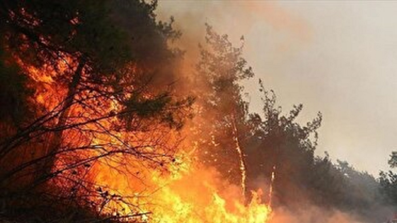 توقف گسترش آتش‌سوزی در الیت 