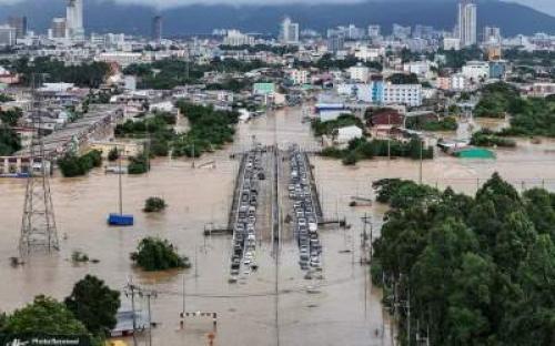 مارهای بزرگ درخیابان های شهر