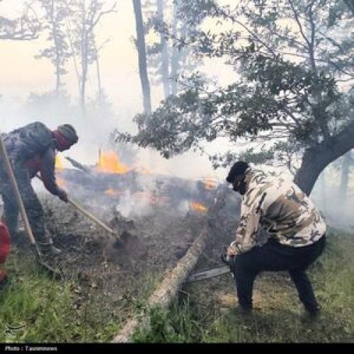 دستور قالیباف برای بررسی علت آتش‌سوزی جنگل الیت