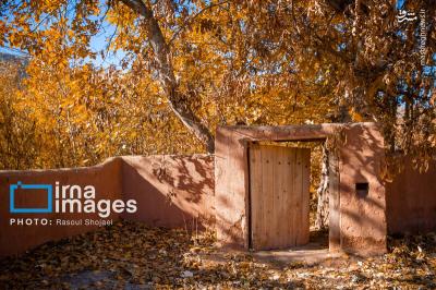 پاییز بی عابرابیانه