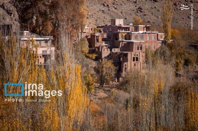 پاییز بی عابرابیانه