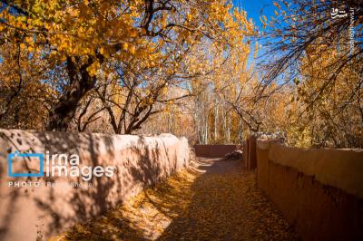 پاییز بی عابرابیانه