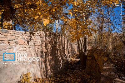 پاییز بی عابرابیانه