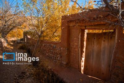 پاییز بی عابرابیانه