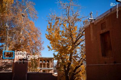 پاییز بی عابرابیانه