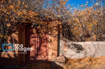 پاییز بی عابرابیانه