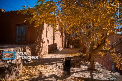 پاییز بی عابرابیانه