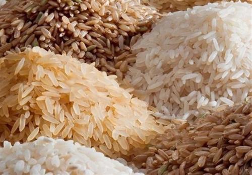 ورود برنج وارداتی به انبارهای مازندران