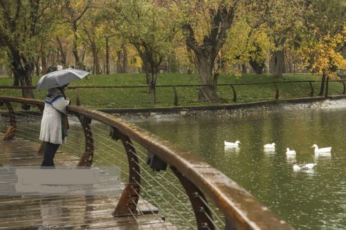 ورود سامانه بارشی به کشور 