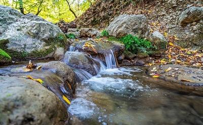 طبیعت پاییزی چشمه لال گلستان